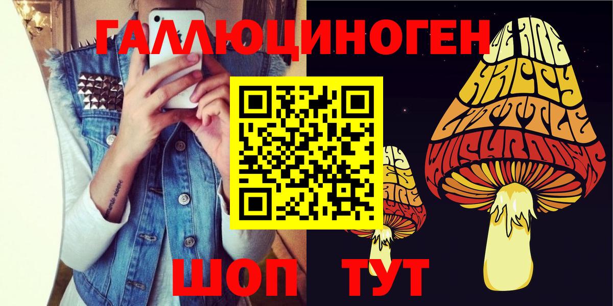 Менделеевск  Галлюциногенные грибы Cubensis  где купить   Вход с VPN 