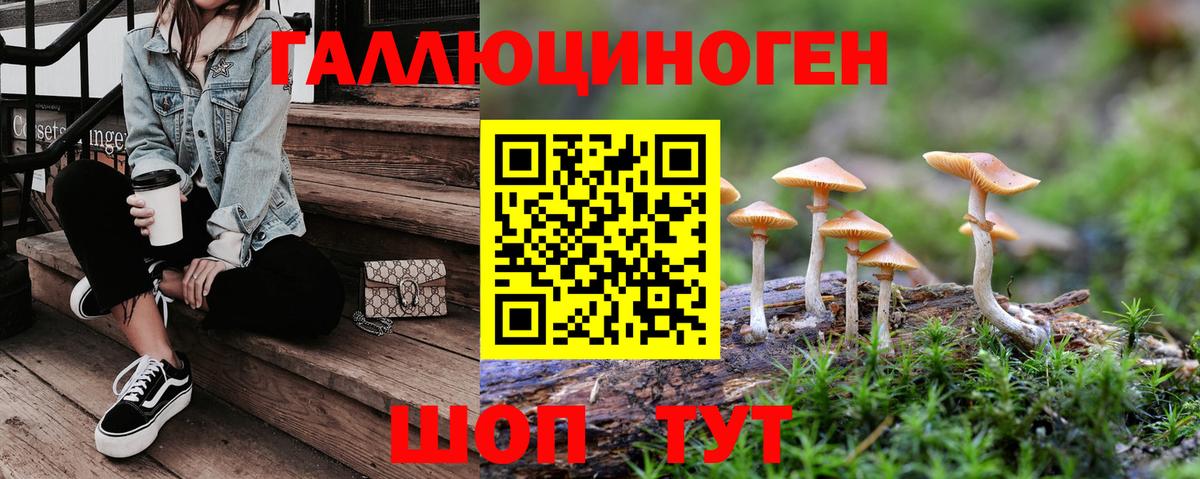 Псилоцибиновые грибы прущие грибы Менделеевск